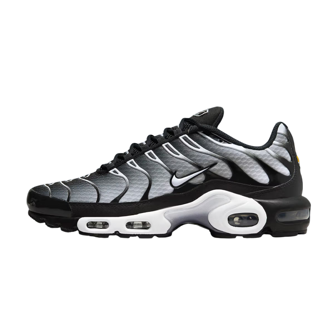 Nike Air Max Tn Metalic Silver