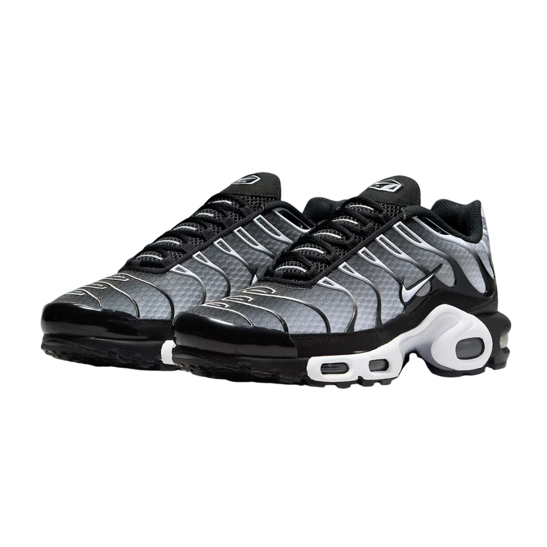 Nike Air Max Tn Metalic Silver