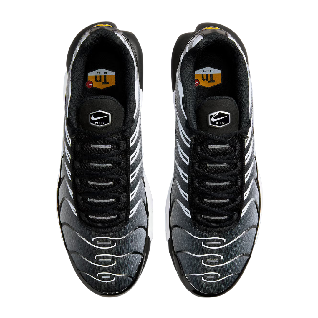 Nike Air Max Tn Metalic Silver